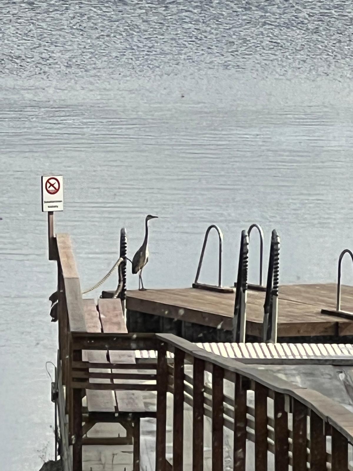 Päivän levätesti: ei sinilevää havaittu